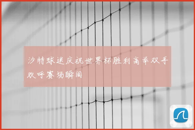 沙特球迷庆祝世界杯胜利高举双手欢呼赛场瞬间