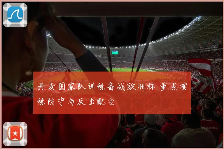 丹麦国家队训练备战欧洲杯 重点演练防守与反击配合