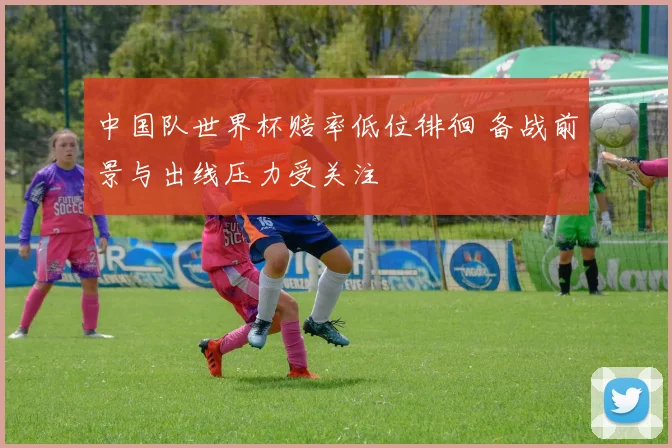 中国队世界杯赔率低位徘徊 备战前景与出线压力受关注