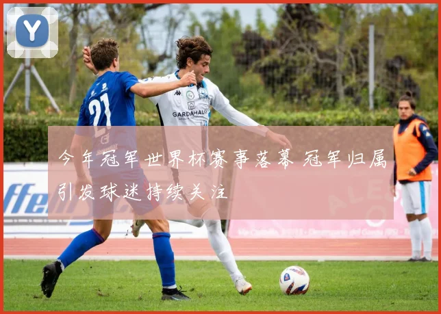 今年冠军世界杯赛事落幕 冠军归属引发球迷持续关注