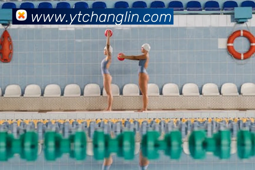 开云手机入口官方网站发展历程